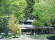 咲くカフェ 1