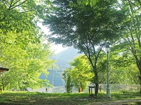 咲くカフェ 2