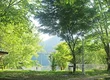 咲くカフェ 2